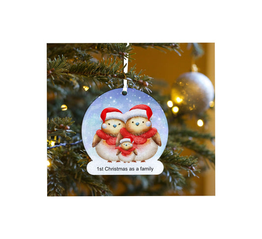 Snow globe shaped glitter Robin Christmas decoration perfect gift for 1st christmas as a family
